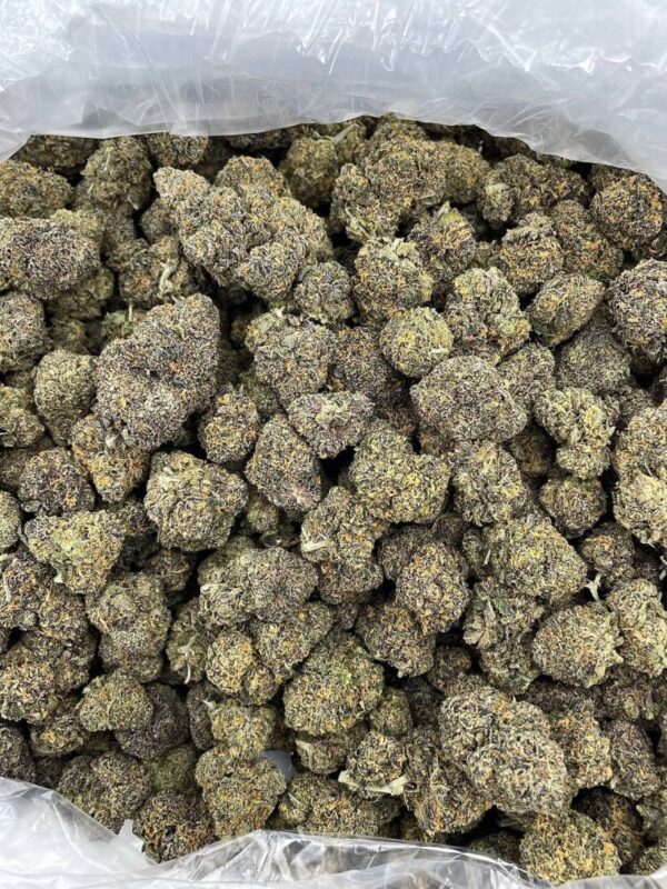 Rainbow Sherbert - HB225RS - Image 2