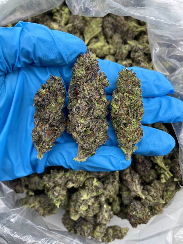 Red Apple Runtz Strain