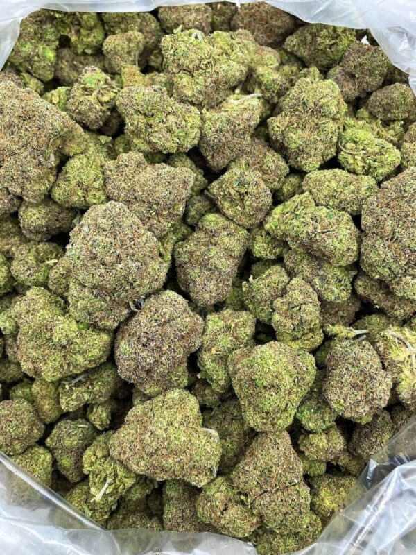 Sour Zkittlez Strain