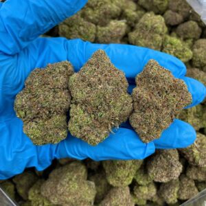 Sour Zkittlez Strain
