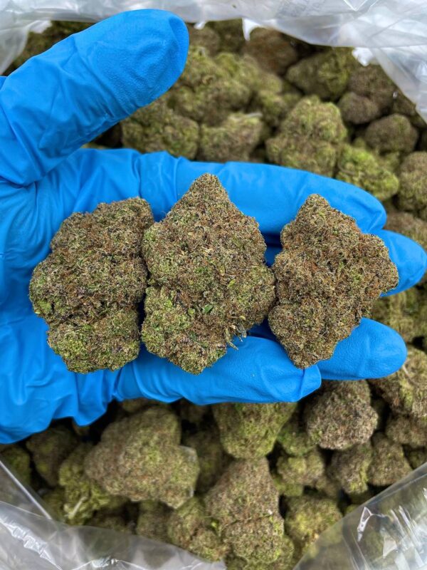 Sour Zkittlez Strain