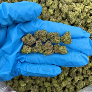 Sundae Stardust Strain