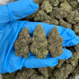 Tropical Lemon Sky Strain