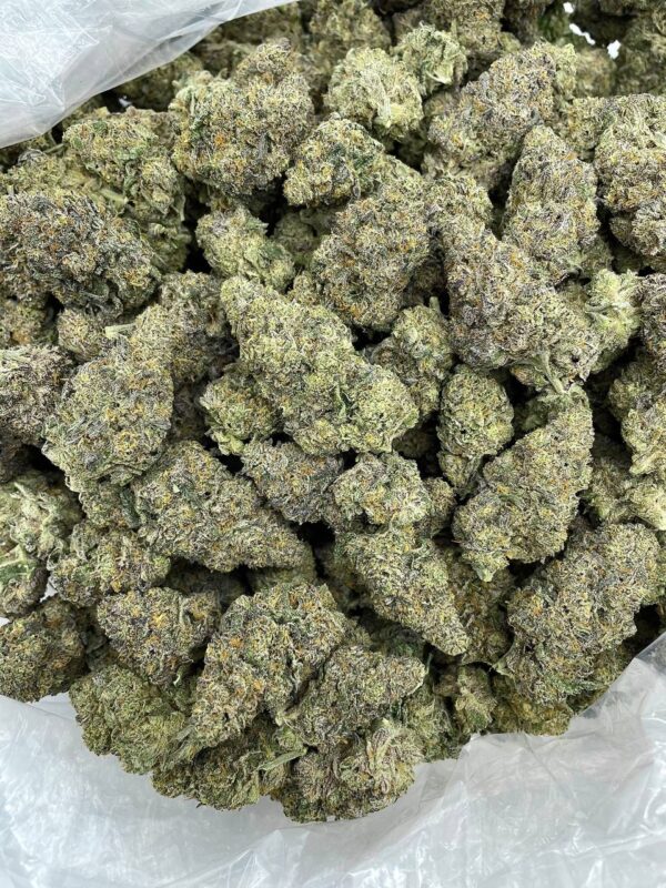Tropical Lemon Sky Strain