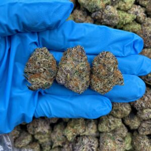 Zkittles Widow Strain