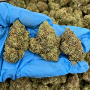Blazing Sundae Strain