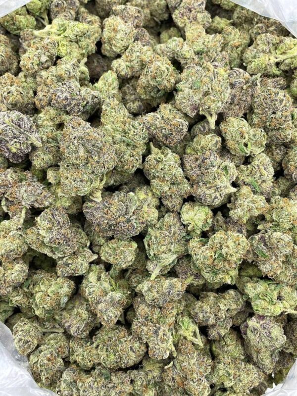 Blizzard Zkittlez Strain