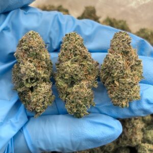 Blueberry Runtz Strain