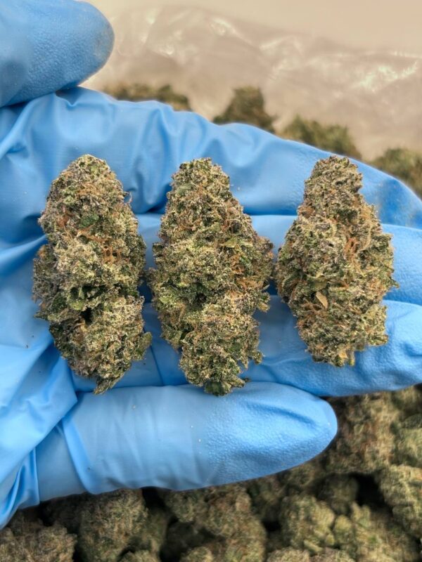 Blueberry Runtz Strain