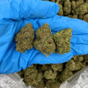 Blueberry Runtz Strain