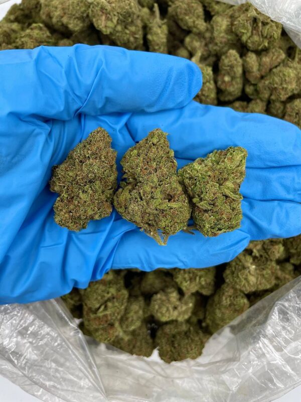 Blueberry Runtz Strain