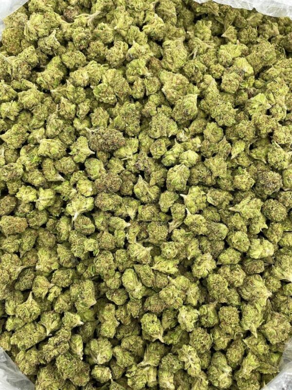 Cotton Candy Crush Strain