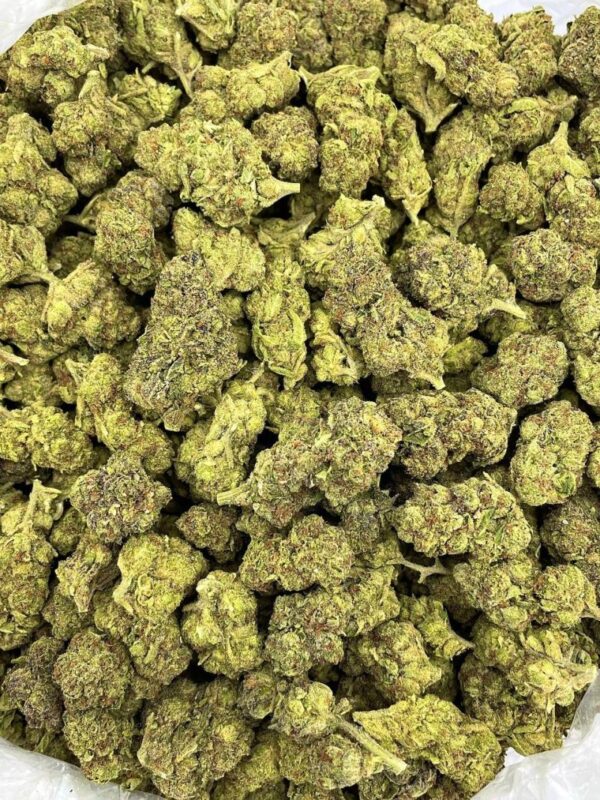 Gelato Cherry Pie Strain