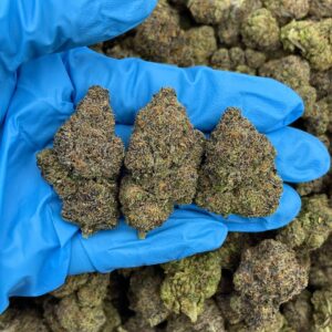 Gemmed Gelato Strain