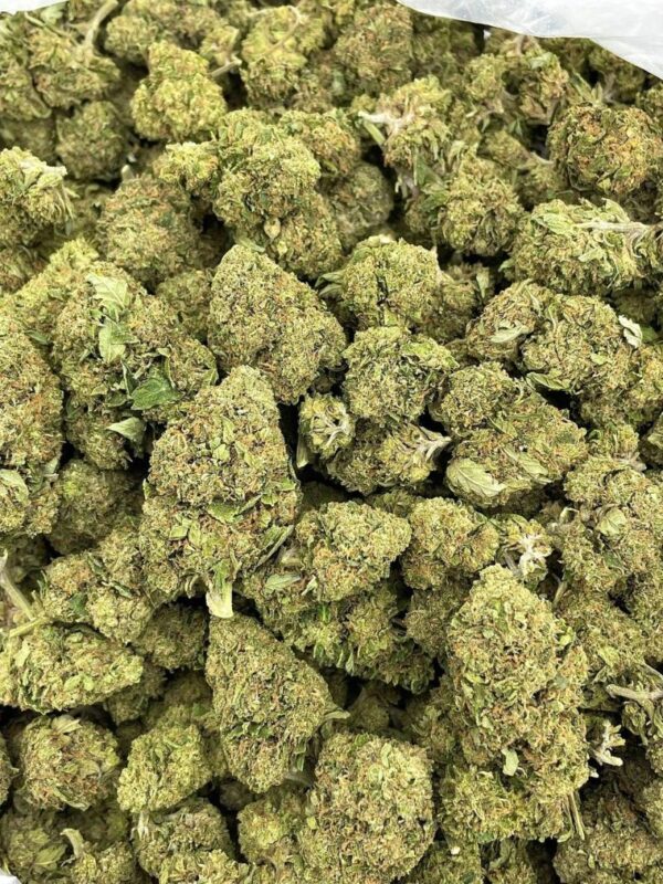Grape Gas Hi-Chew Strain