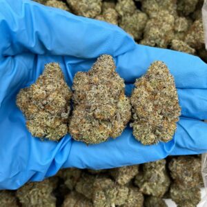 MT Frost Strain