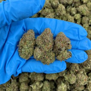 Platinum Frosting Strain