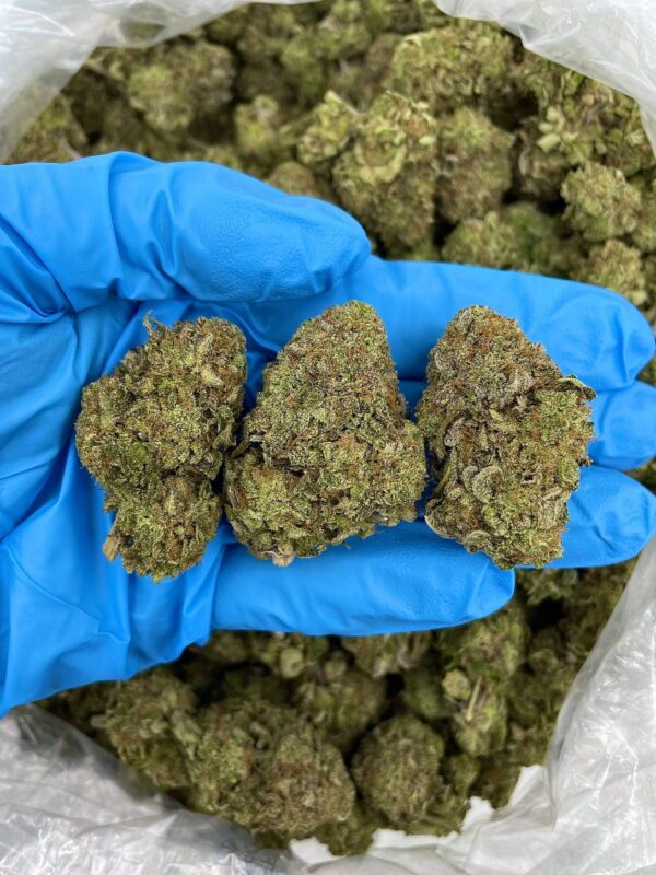 Platinum Ice Strain