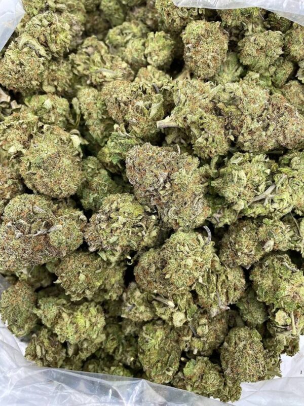 Platinum Ice Strain