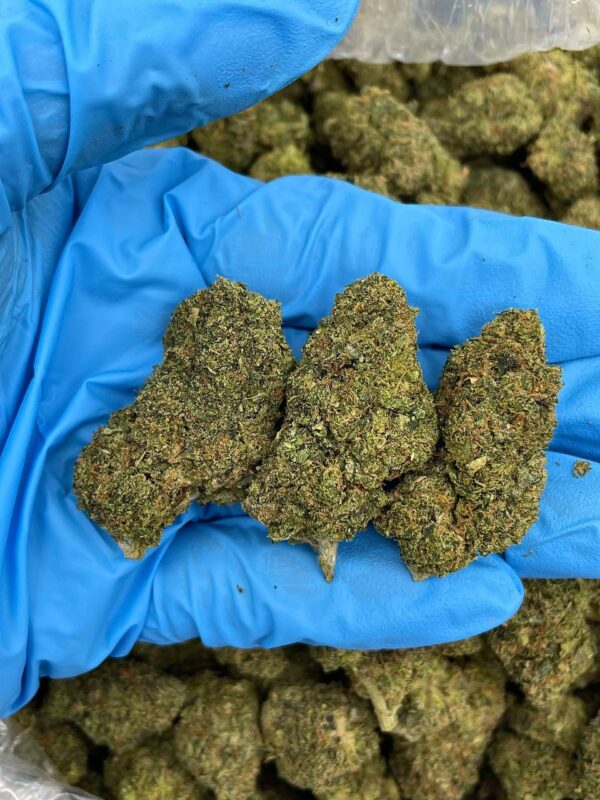 Sour Grape Candy Runtz strain