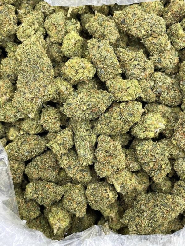 Sour Grape Candy Runtz strain