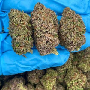 Starburst Haze strain