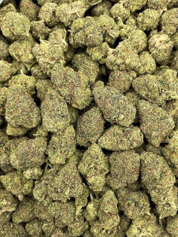 Starburst Haze - PH314IC - Image 2
