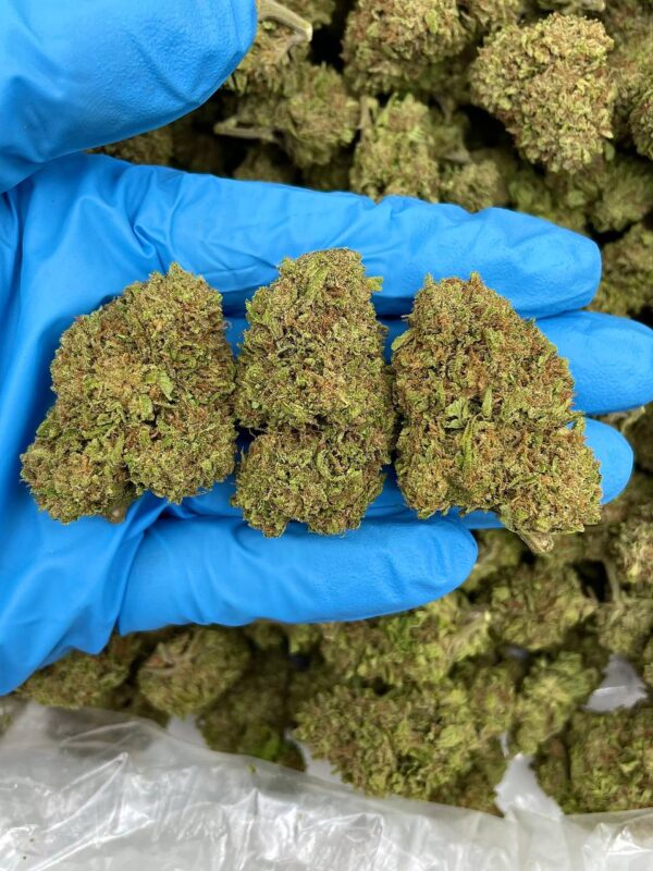 Taffy Tangle Strain
