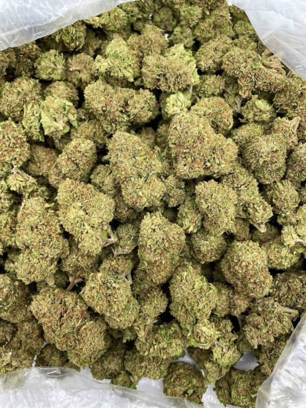 Taffy Tangle Strain