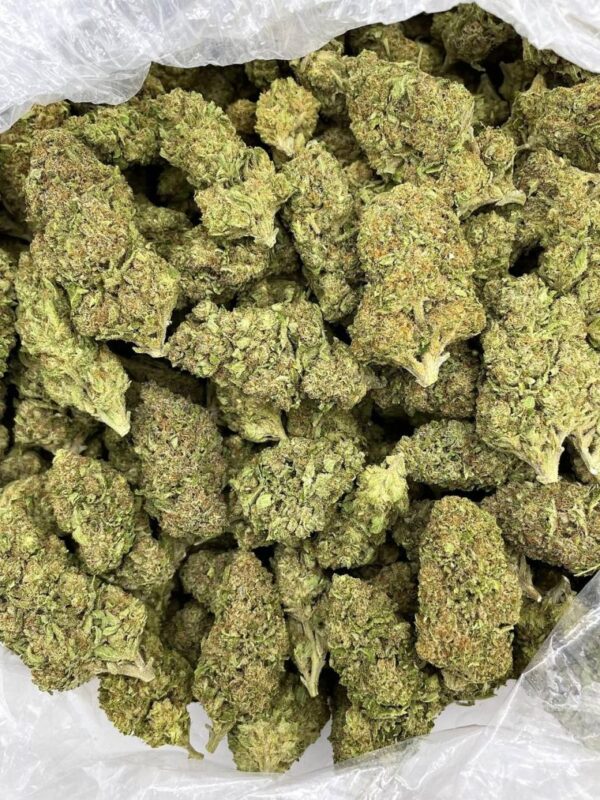 Tropical Candybomb strain