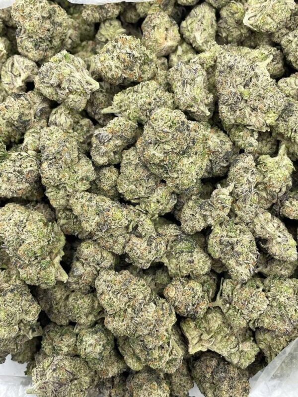 Winter Fall Gelato Strain