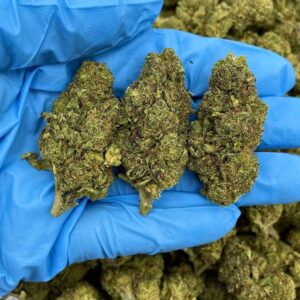 Bubble Berry Blast Strain