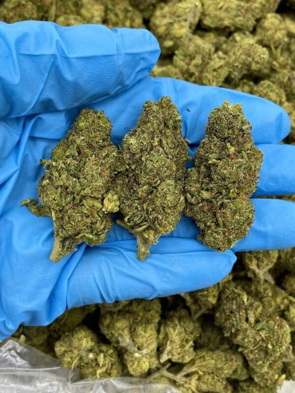 Bubble Berry Blast Strain