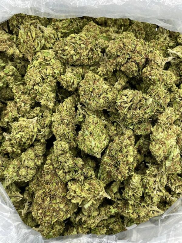 Candy Mirage Strain