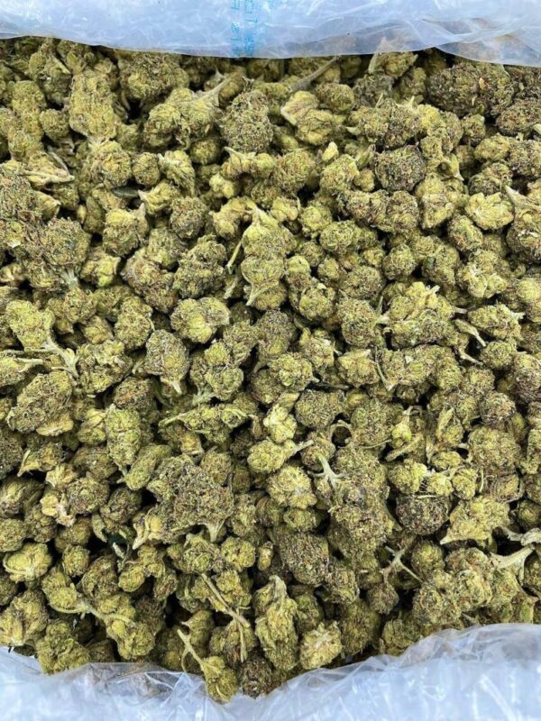 Cherry Sourbelts Strain