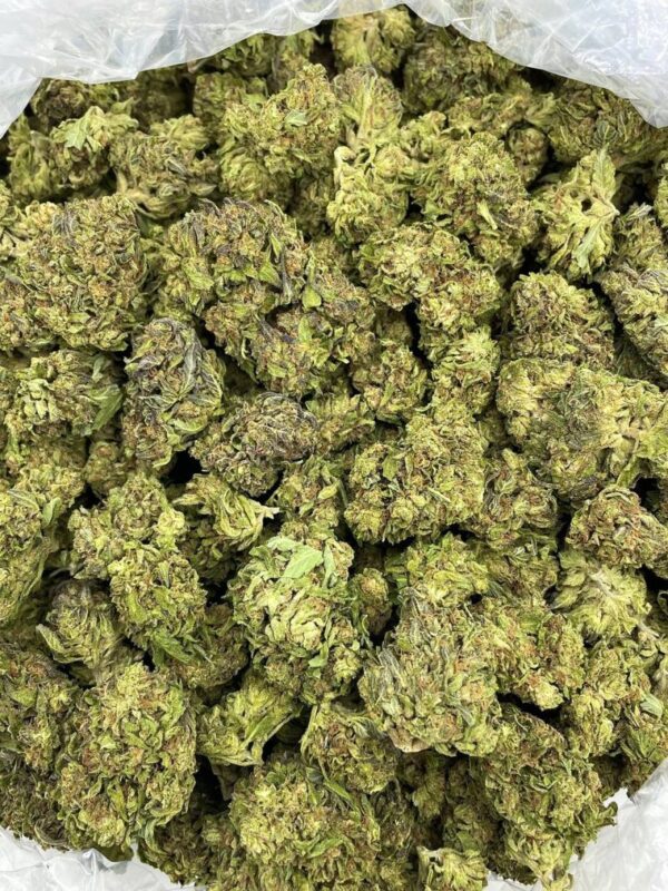 Cono Dulce Strain