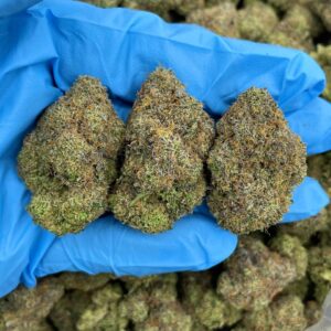 Fruit Chew Fusion Strain