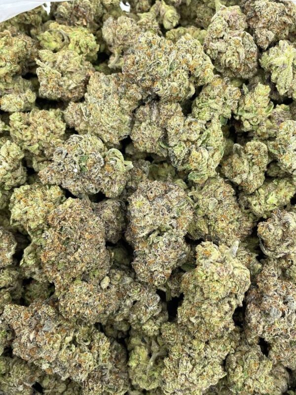 Gelato Fritter Strain