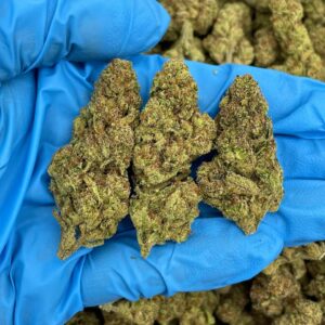 Grape Glitter Zkittlez Strain