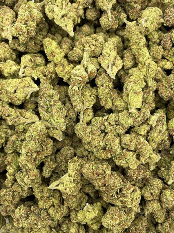 Grape Glitter Zkittlez - AL327GB - Image 2