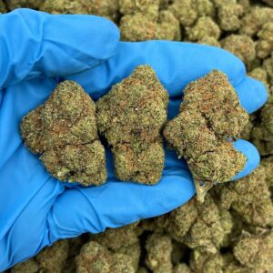 Lemon Poppers Strain