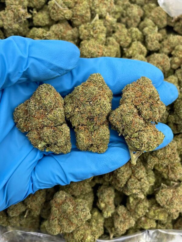 Lemon Poppers Strain
