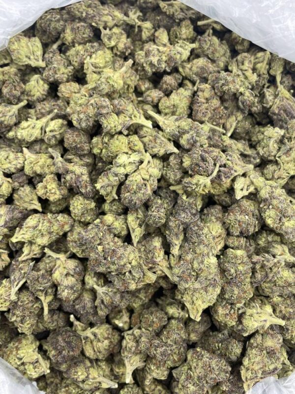 Purple Granimals Strain
