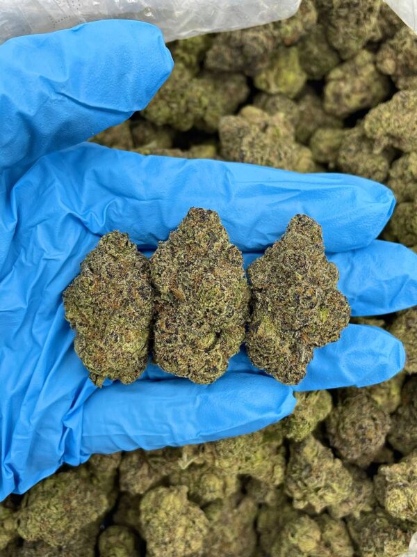 Raspberry Icee Strain