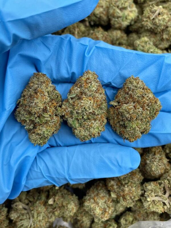 Razzle Berry Pop Strain