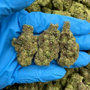 Royal Runtz Strain