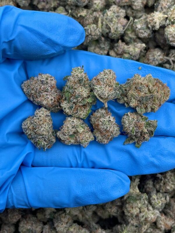 Sour Slapz