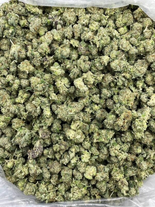 Sour Slapz