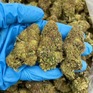 Star Platinum Strain