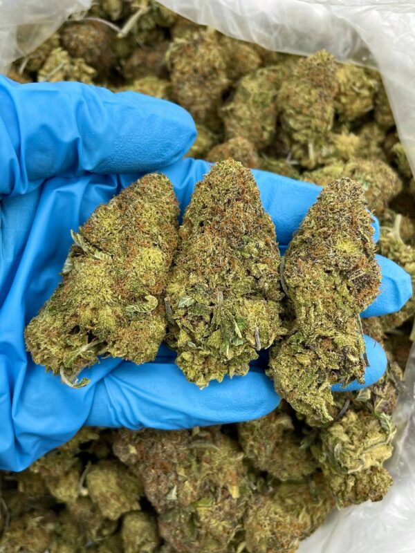 Star Platinum Strain